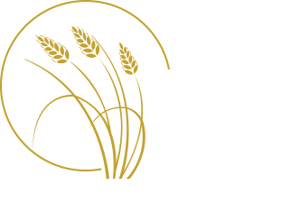 Prairie Plains Dental logo